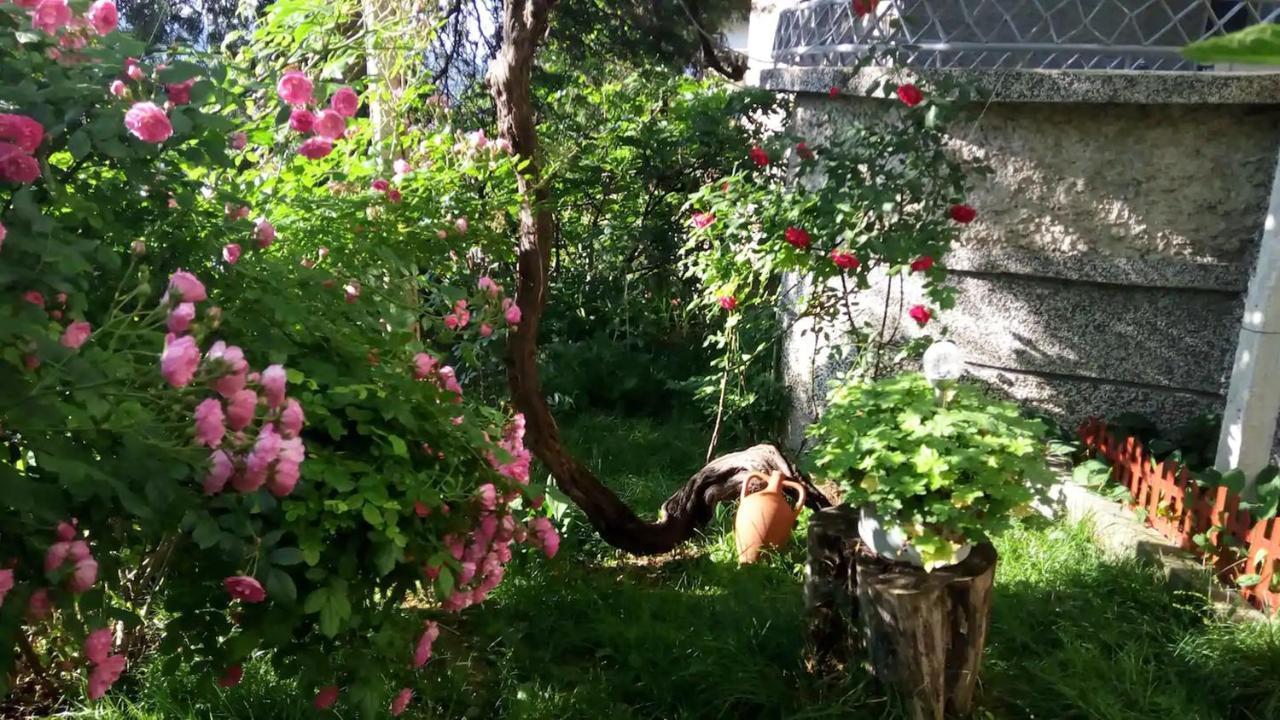 Belivanovi B&B House Veliko Tarnovo Extérieur photo