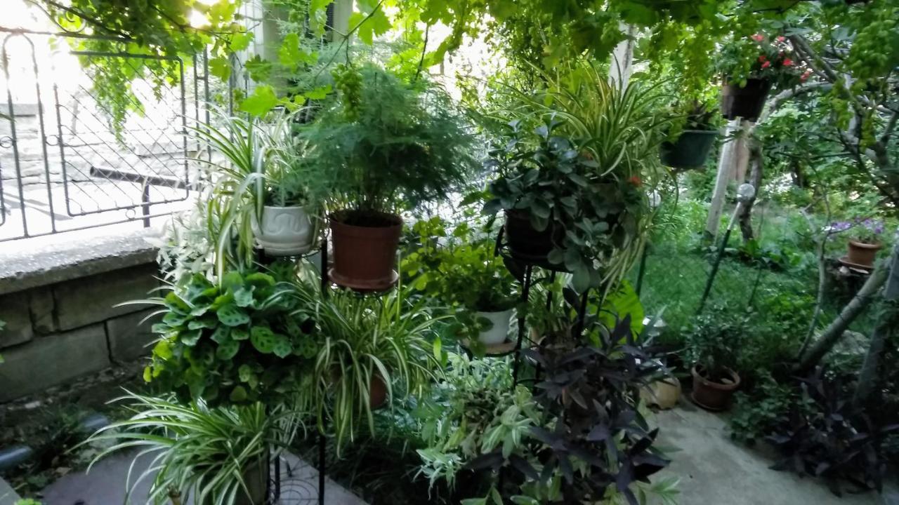 Belivanovi B&B House Veliko Tarnovo Extérieur photo